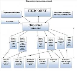 Структура управления школой